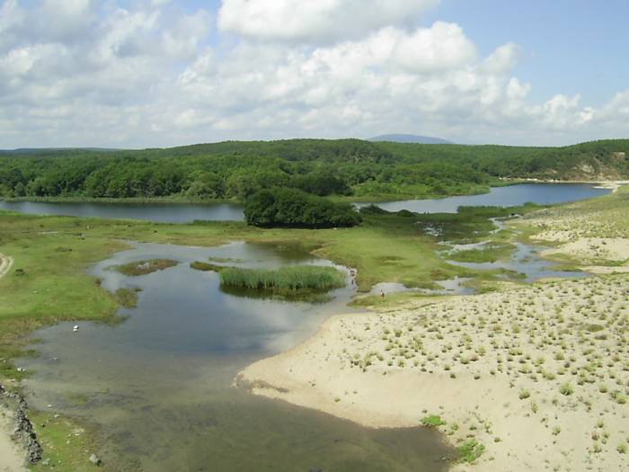 laguna