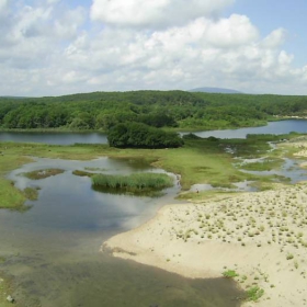 laguna