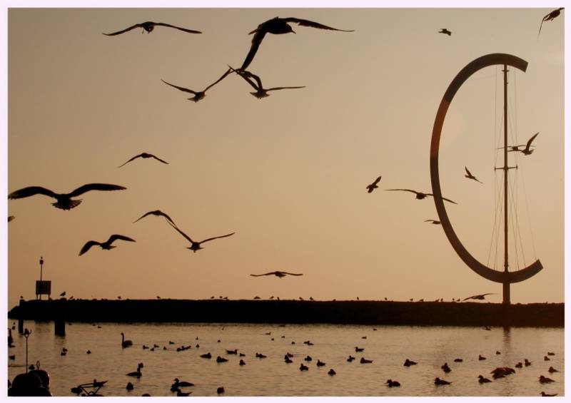 ...dream of flying...