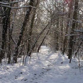 Winter in Sofia