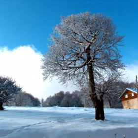 Самотна хижа