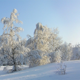 Снимка без име