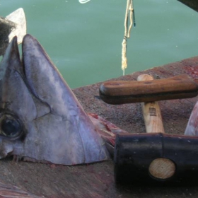 Fishmarket (Guadeloupe)