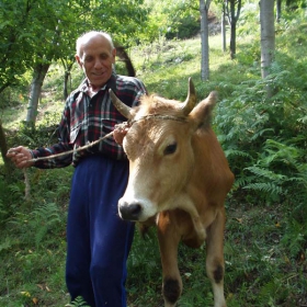 Ежедневие на село