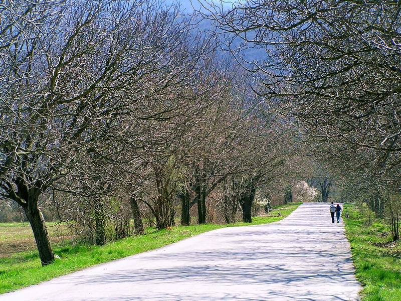 on the road