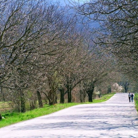 on the road