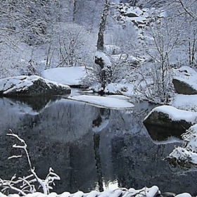 na vitosha