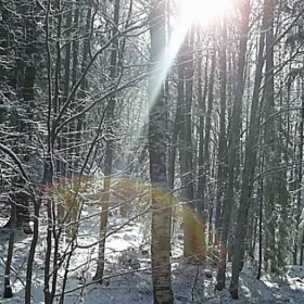 vitosha