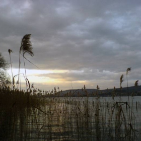 Zürichsee4