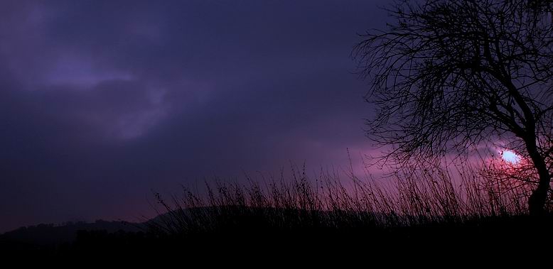 .. The Color of The Night ..