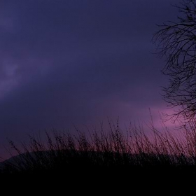 .. The Color of The Night ..