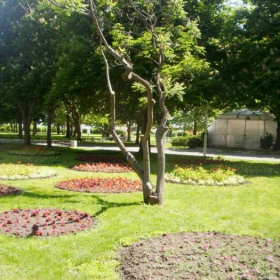 Природа в Бургас 2
