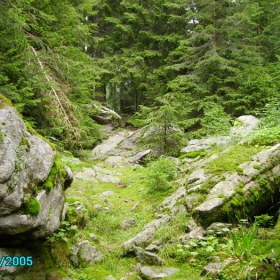 Gorska pate4ka
