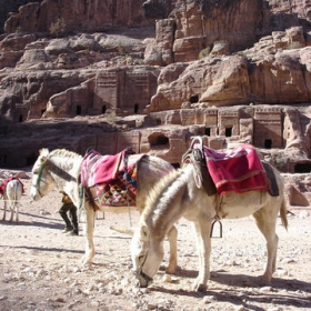 Go to Petra !