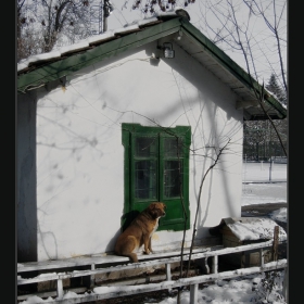 Пазителя на къщата