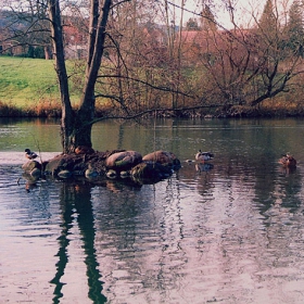 Lake