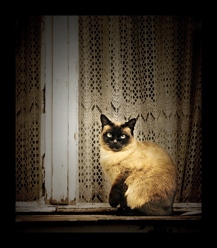 Снимка без име
