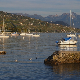 Pully (Switzerland)