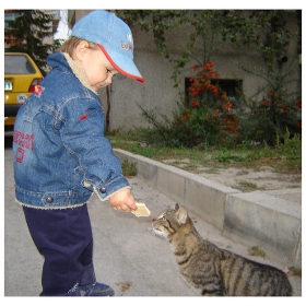 яж коте