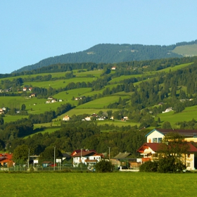 Green, green grass....