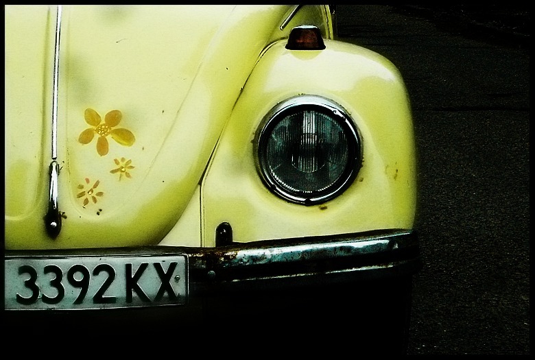Daisy