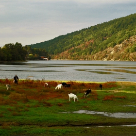 Есенно