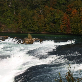 Rhinefalls - Switzerland