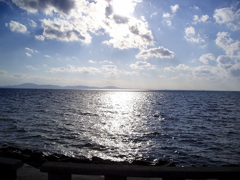 Морската шир 1
