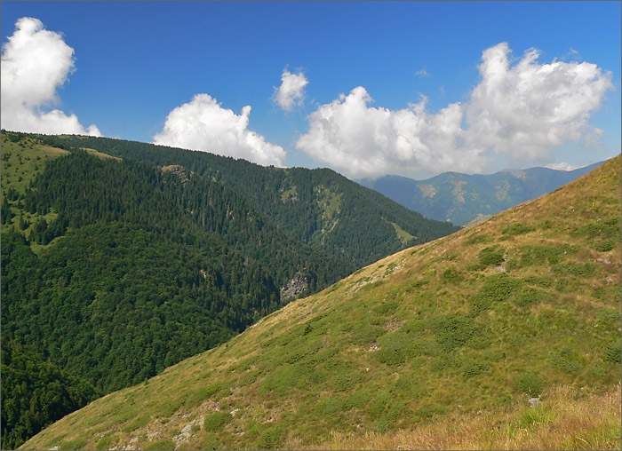 Високо в планината