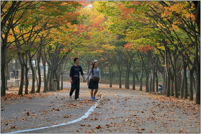 ...and a hand to hold when leaves begin to fall...