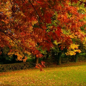 ..autumn 3..