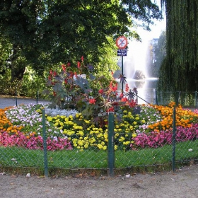 Flowers_In_Brussels