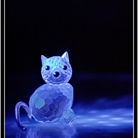 azure cat