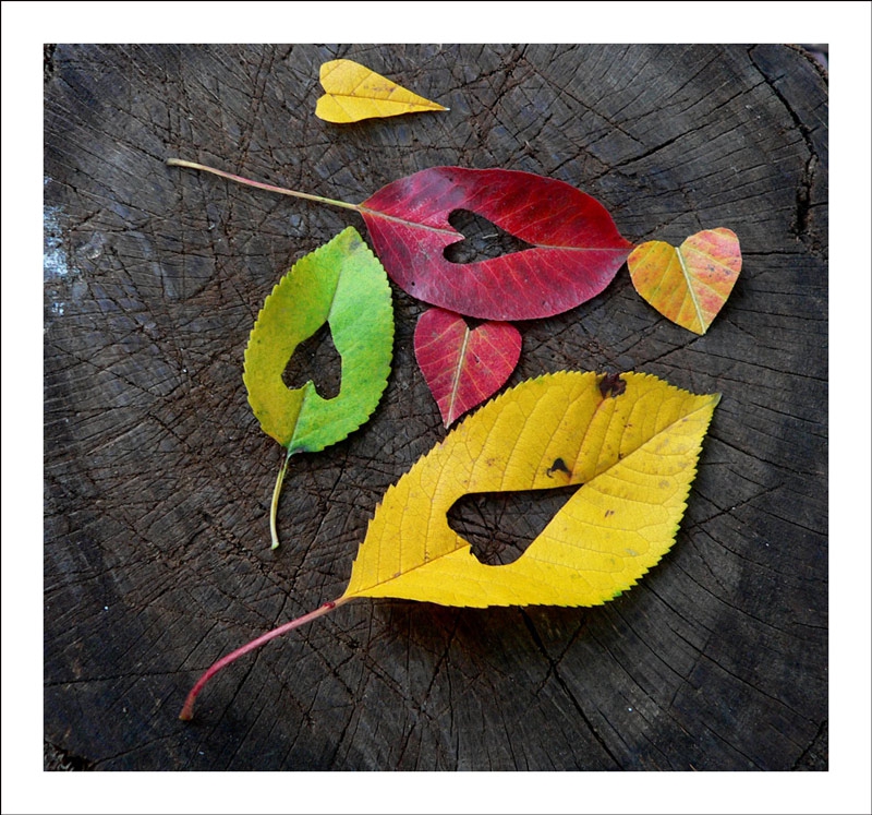 Colours of the Love