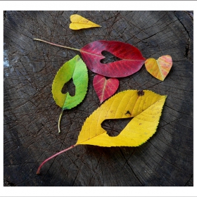 Colours of the Love