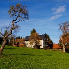 Savigny - Switzerland