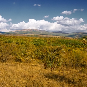 От другата страна на пътя