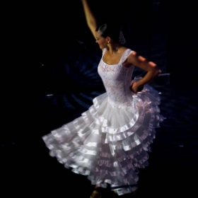 Flamenco Passion 3