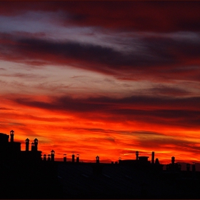 Over the roofs