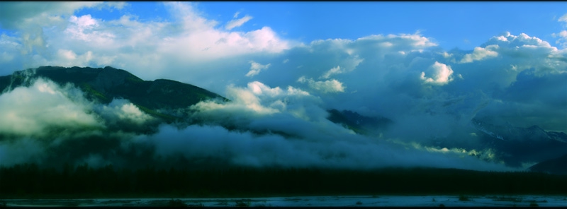 The Fog