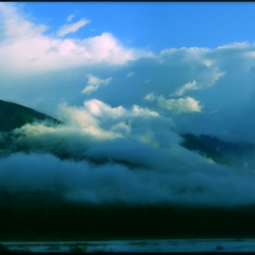 The Fog