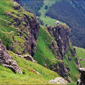 По Тарзановата пътека