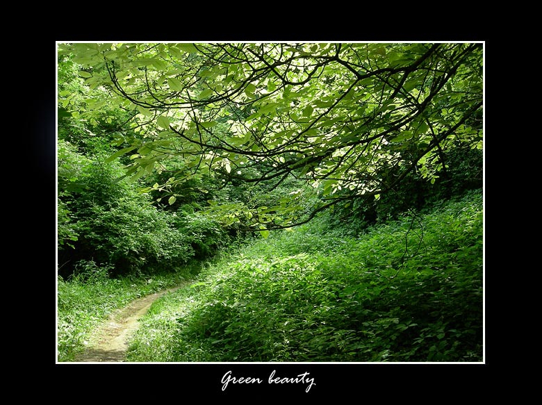Green beauty