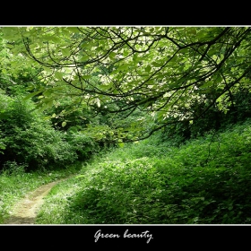 Green beauty