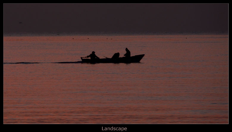 The boat II