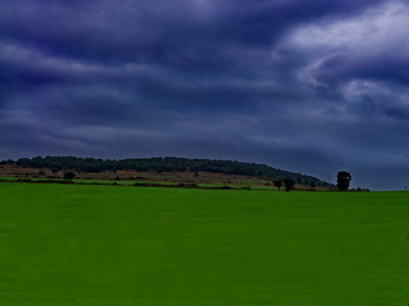 The Green Green Grass Of Home