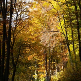 Есенна гора
