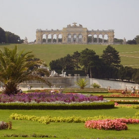Viena