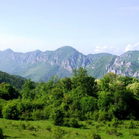 какво, Швейцария ли!?