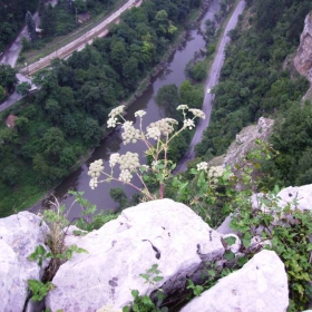 Гледам от високо